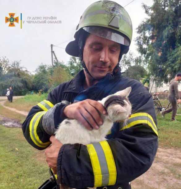 На Черкащині під час масштабної пожежі врятували кота (ФОТО)
