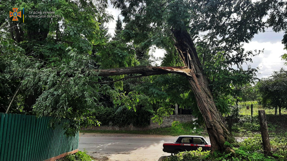 Рятувальники Черкащини прибирали повалені дерева