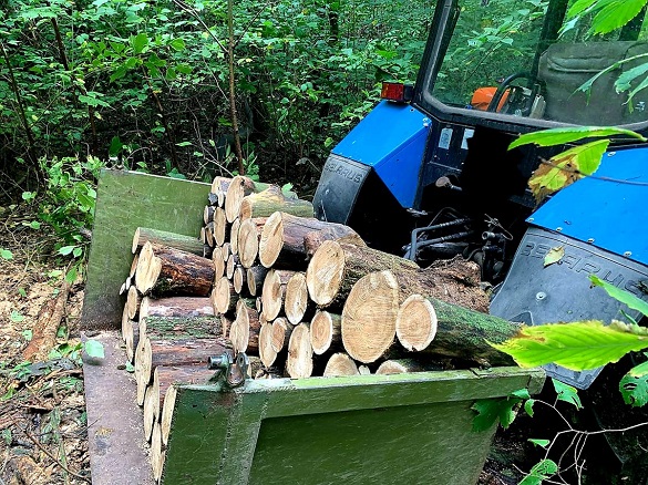 На Черкащині чоловік незаконно вирубував дерева