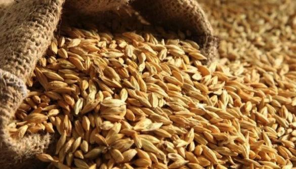 Аграрії вже зібрали 26,4 мільйона тонн зерна нового врожаю