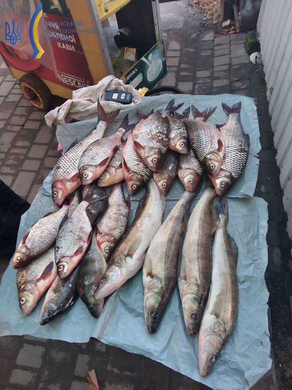 За жовтень на Черкащині вилучили понад 200 кг незаконно виловленої риби