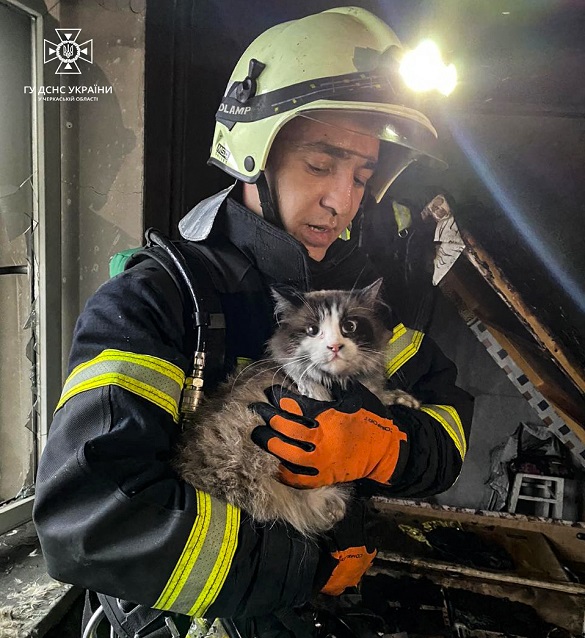 На одній з пожеж рятувальники Черкащини допомогли кішці