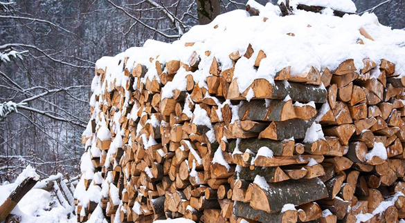 Лісівники Черкащини реалізували понад 230 тис. кубометрів дров