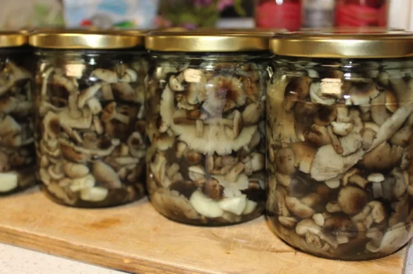 На Черкащині родина отруїлася грибами