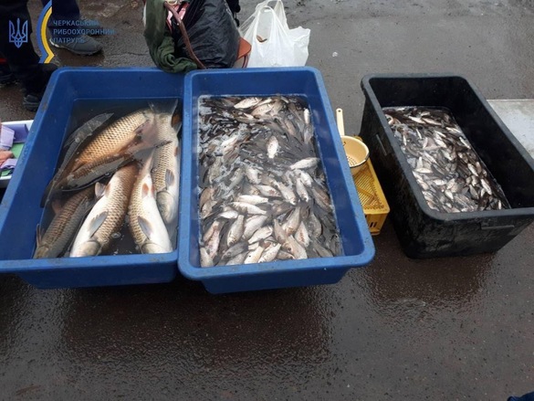 На Черкащині знову виявили людей, які незаконно продавали рибу