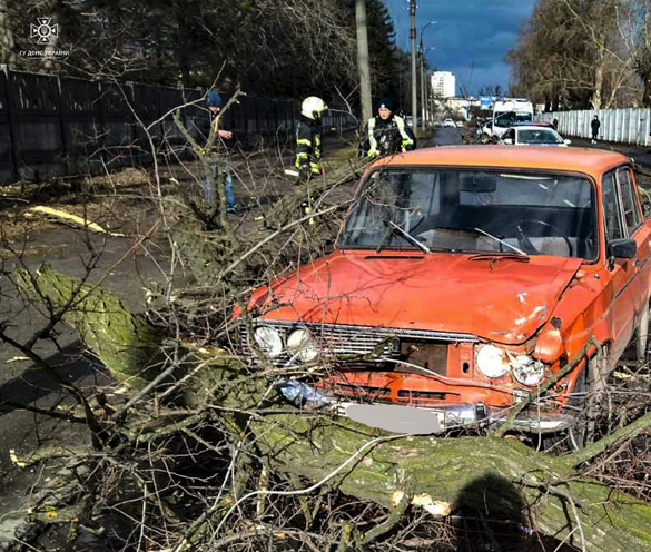 У Черкасах через сильний вітер на автівки впало дерево (ФОТО)