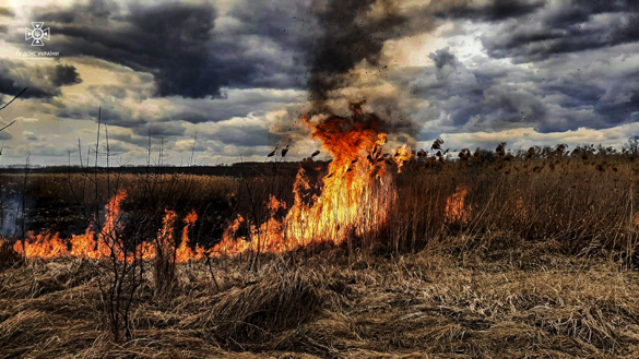 Необережне поводження з вогнем: на Черкащині знову горіла суха рослинність