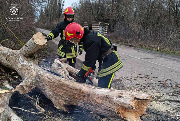 У Черкаській області негода повалила дерева