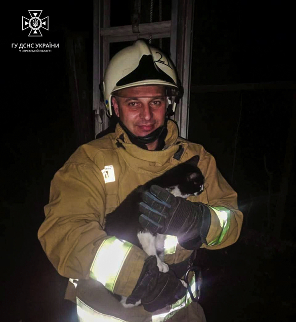 На Черкащині врятували кота, який не міг злізти з дерева (ФОТО)