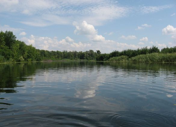 У Черкаському районі з приватної власності повернуто дві земельні ділянки біля Дніпра