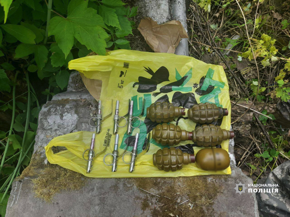 На одному з кладовищ знайшли схованку з боєприпасами (ФОТО)