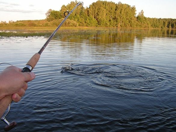 На Черкащині у ставках дозволили ловити раків та рибу: є обмеження