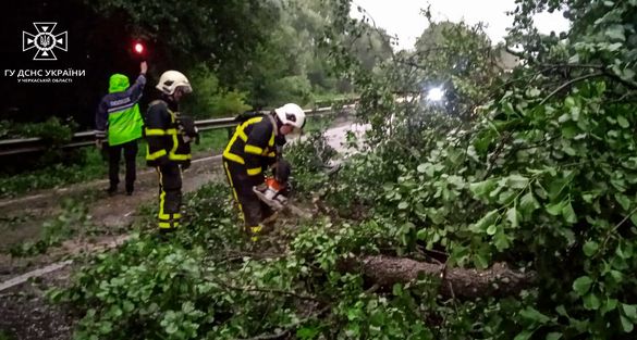 На Черкащині через негоду впало 12 дерев (ФОТО)