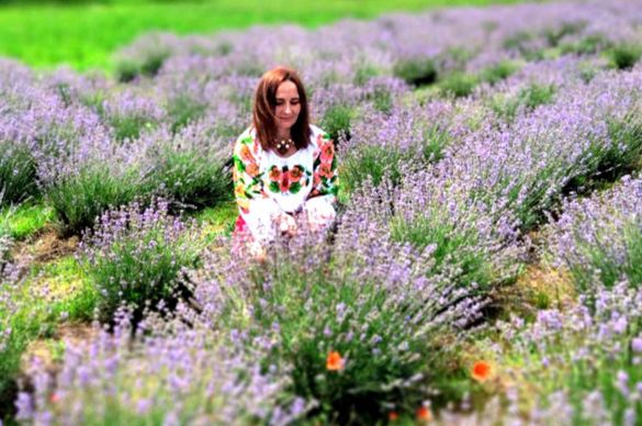 На Черкащині жінка зробила на городі лавандове поле (ФОТО)