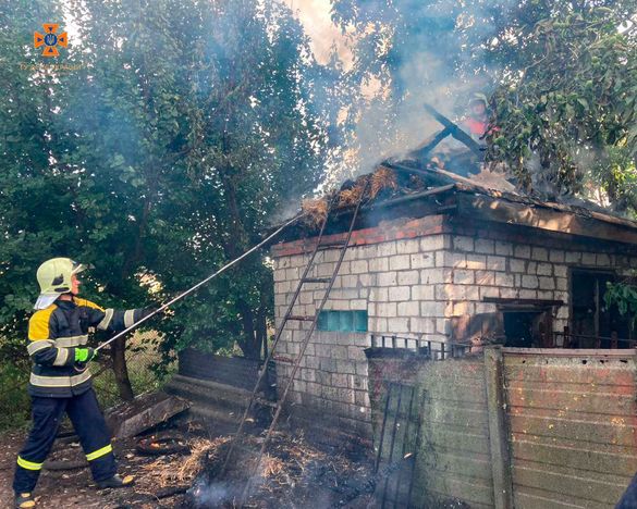 Гралися з вогнем: на Черкащині діти підпалили 500 кг соломи