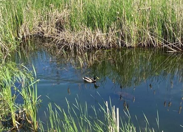 На Черкащині у власність громади повернули водний об’єкт вартістю майже 160 мільйонів