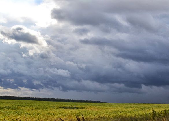 Очікуються грозові дощі: якою буде погода на Черкащині на вихідних