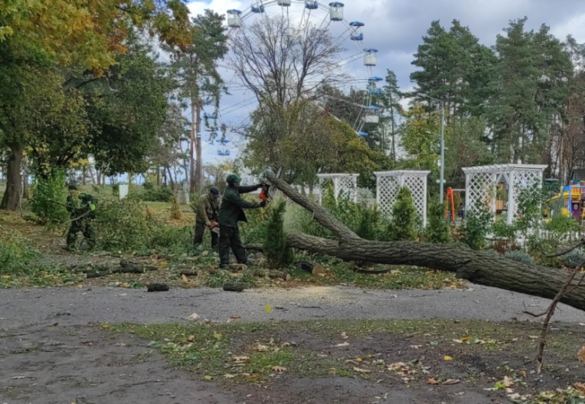 У черкаських парках буревій поламав дерева (ФОТО)
