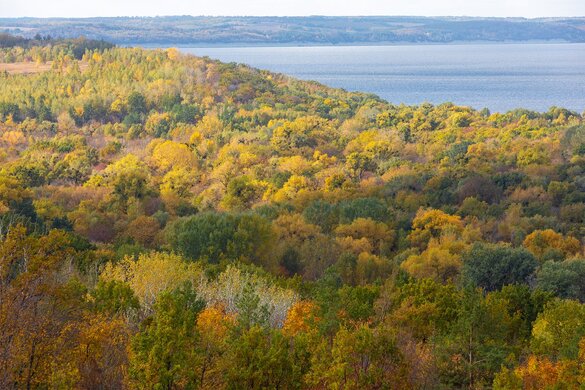 На Черкащині громаді повернули ділянку природно-заповідного фонду вартістю понад 8 мільйонів