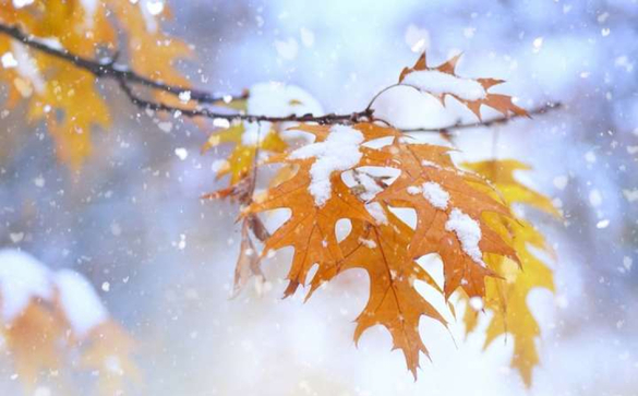 Дощі та сніг: як зміниться погода на Черкащині
