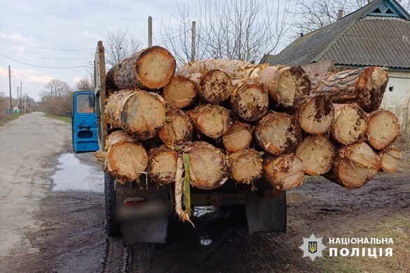 На Черкащині водій нелегально перевозив вантажівкою деревину