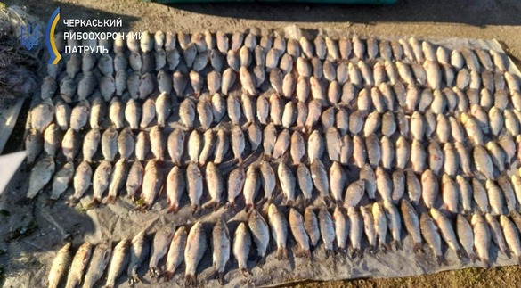 На Звенигородщині затримали чоловіків, які незаконно наловили риби на понад мільйон гривень збитків