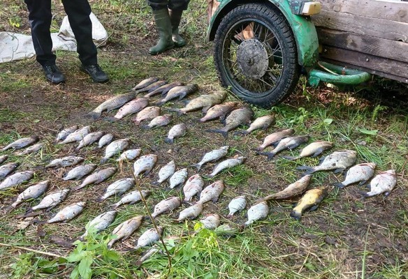 На Черкащині браконьєр наловив риби на майже 100 тисяч