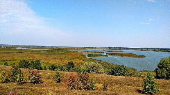 На Чорнобаївщині сільська рада незаконно передала у приватну власність землі природно-заповідного фонду