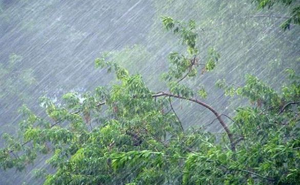 На Черкащині прогнозують погіршення погоди