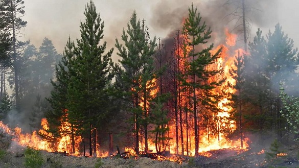 На Черкащині протягом трьох днів попереджають про пожежну небезпеку