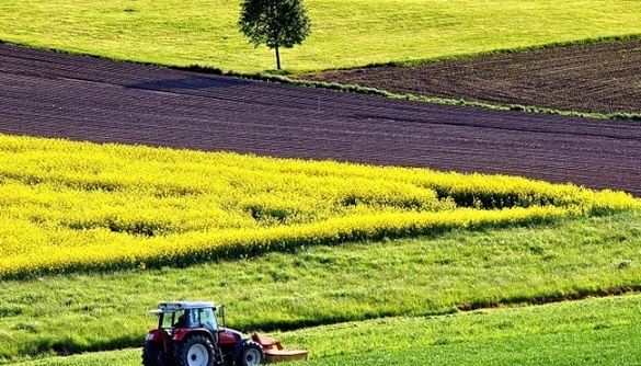 У власність держави повернули землі на Черкащині вартістю 130 мільйонів