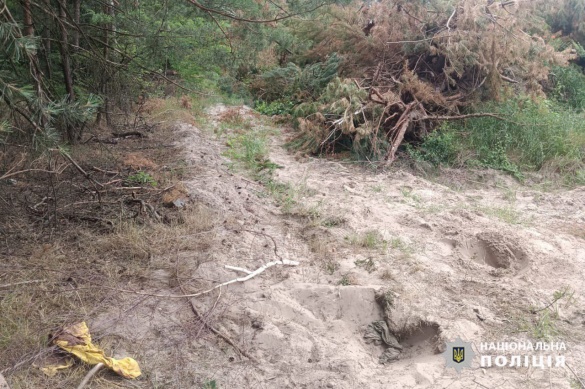 Жорстоке вбивство на Черкащині: чоловік задушив таксиста та сховав тіло у лісосмузі