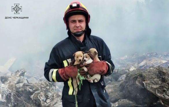 На Звенигородщині з пожежі врятували п'ятьох цуценят (ФОТО)