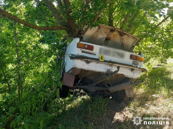 В'їхав у дерево: на Черкащині сталася смертельна ДТП