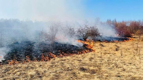 У Черкасах у повітрі відчувається їдкий запах диму: в чому причина