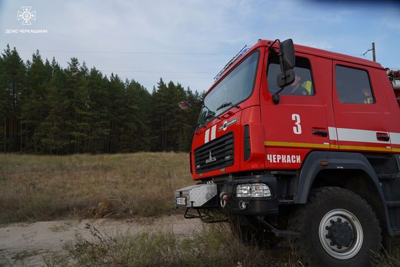 У Вергунах ліквідували пожежу площею у 25 гектарів