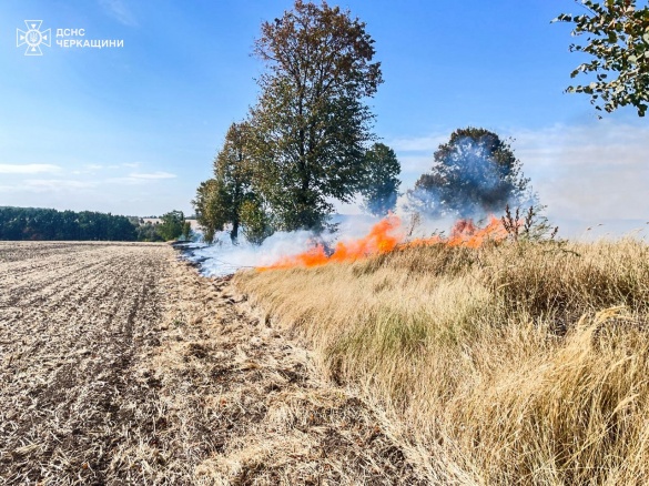 На Черкащині сталося 8 пожеж на відкритих територіях 