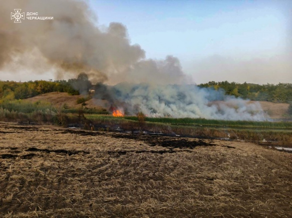 На Золотоніщині горіло понад 2,5 гектари території