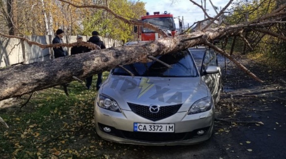 У Городищі через негоду на автівку впало дерево 