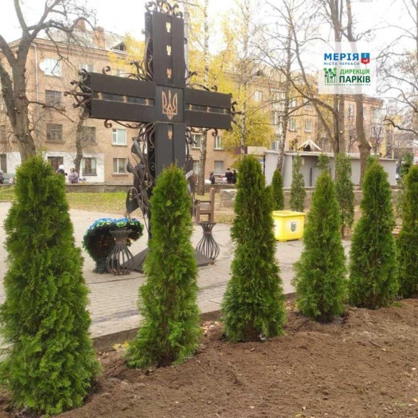 В одному із парків Черкас висадили туї