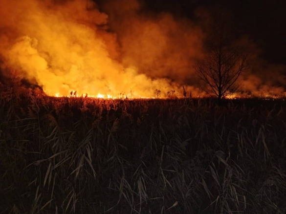 На Звенигородщині сталися дві пожежі на відкритих територіях