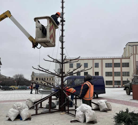 В Умані розпочали встановлювати новорічну ялинку