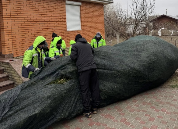 У Золотоноші встановлюватимуть різдвяну ялинку 