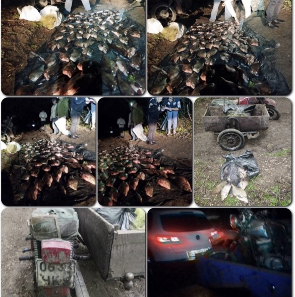 На Черкащині викрили незаконний вилов риби на суму у понад 800 тисяч гривень