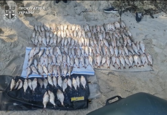 Понад 280 тисяч гривень збитків: жителя Черкаського району судитимуть за незаконний вилов риби