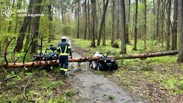 У Черкасах через падіння дерева загинула людина