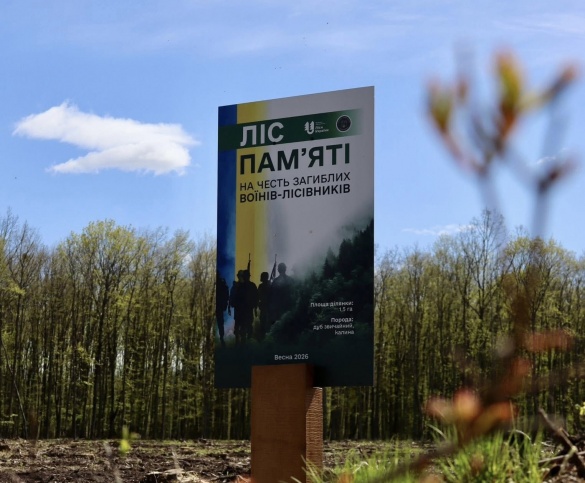 На Черкащині висадили "Ліс пам’яті" на честь загиблих воїнів-лісівників
