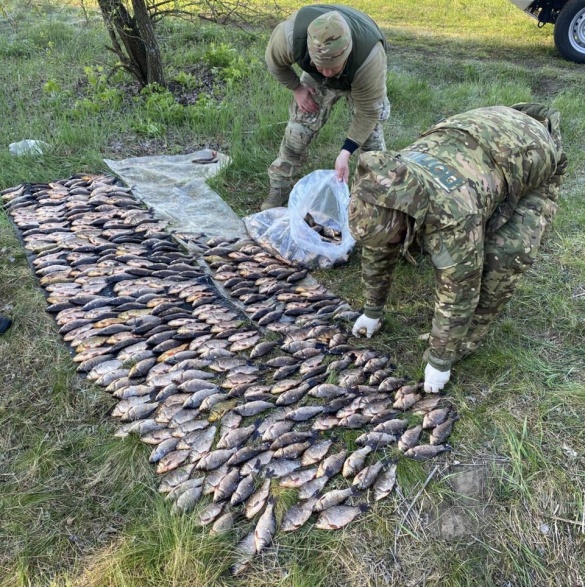 На Черкащині викрили браконьєра з уловом на понад 800 тисяч гривень