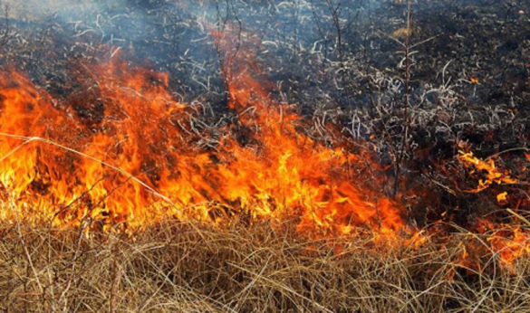 На Черкащині за добу сталося більше десяти пожеж