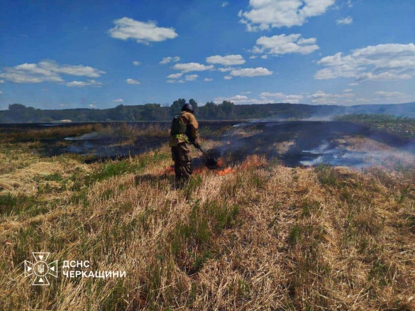 Недопалки та дитячі пустощі спричинили майже 30 пожеж на Черкащині